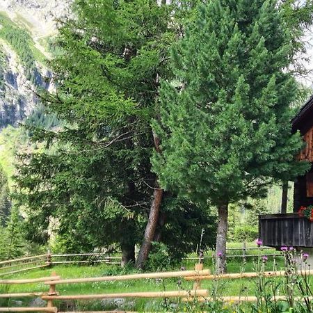 Chalet Wildgall อันแตร์แซลวา ดิ เมซโซ ภายนอก รูปภาพ