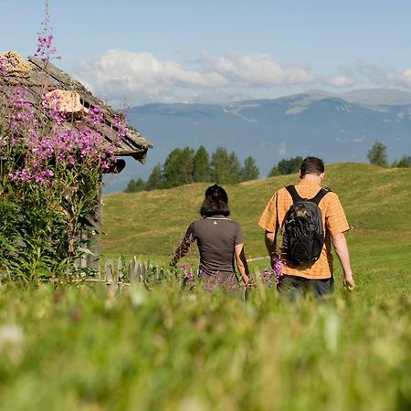 Chalet Wildgall อันแตร์แซลวา ดิ เมซโซ ภายนอก รูปภาพ