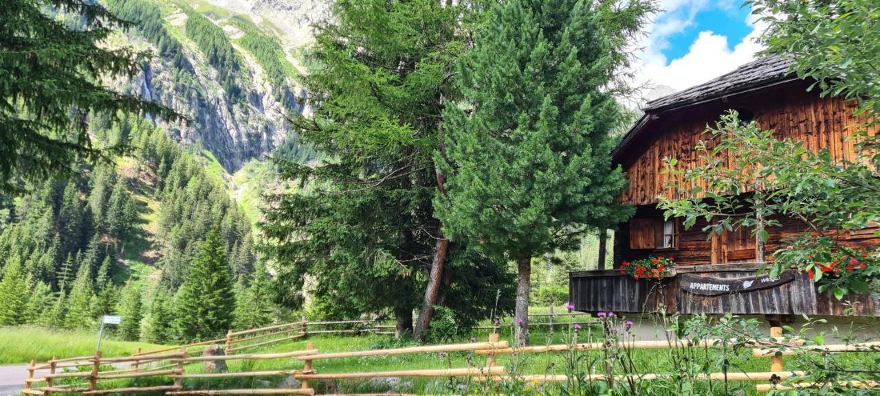 Chalet Wildgall อันแตร์แซลวา ดิ เมซโซ ภายนอก รูปภาพ