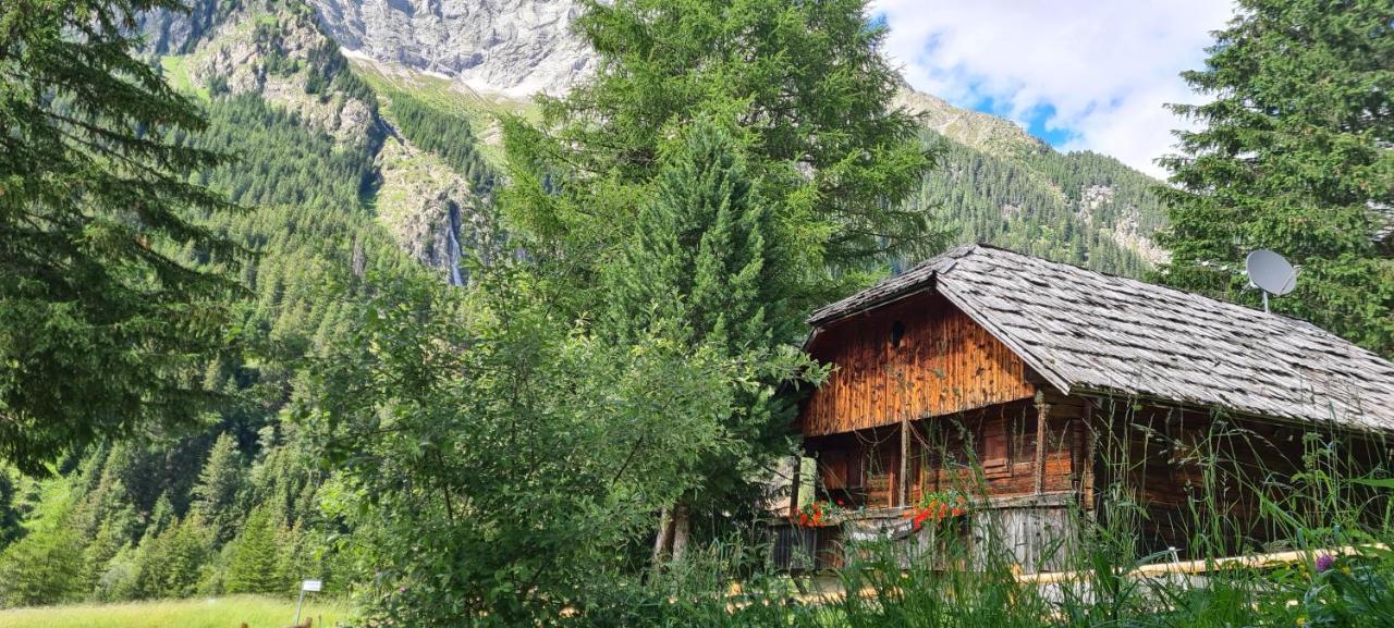 Chalet Wildgall อันแตร์แซลวา ดิ เมซโซ ภายนอก รูปภาพ