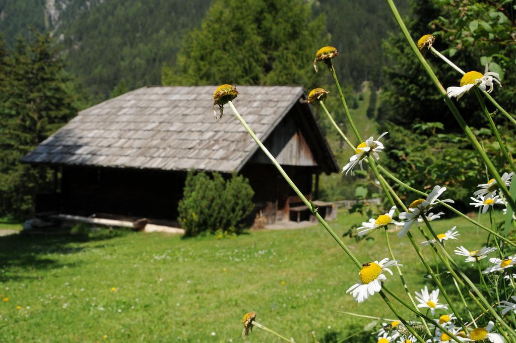Chalet Wildgall อันแตร์แซลวา ดิ เมซโซ ห้อง รูปภาพ